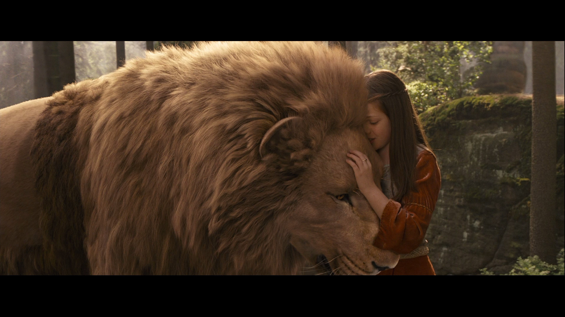 The Chronicles of Narnia: Prince Caspian Blu-ray for Narnia Aslan Wallpaper
61obs The Chronicles of Narnia: Prince Caspian Blu-ray for Narnia Aslan Wallpaper
61obs
